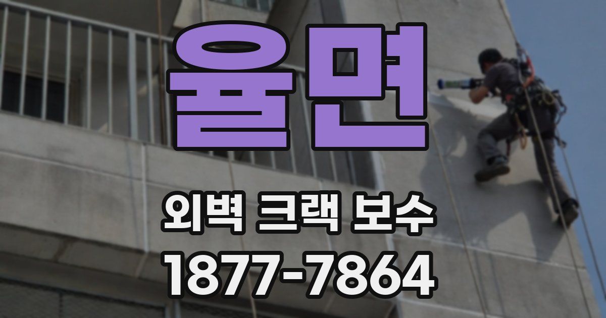 율면 외벽 크랙 보수
