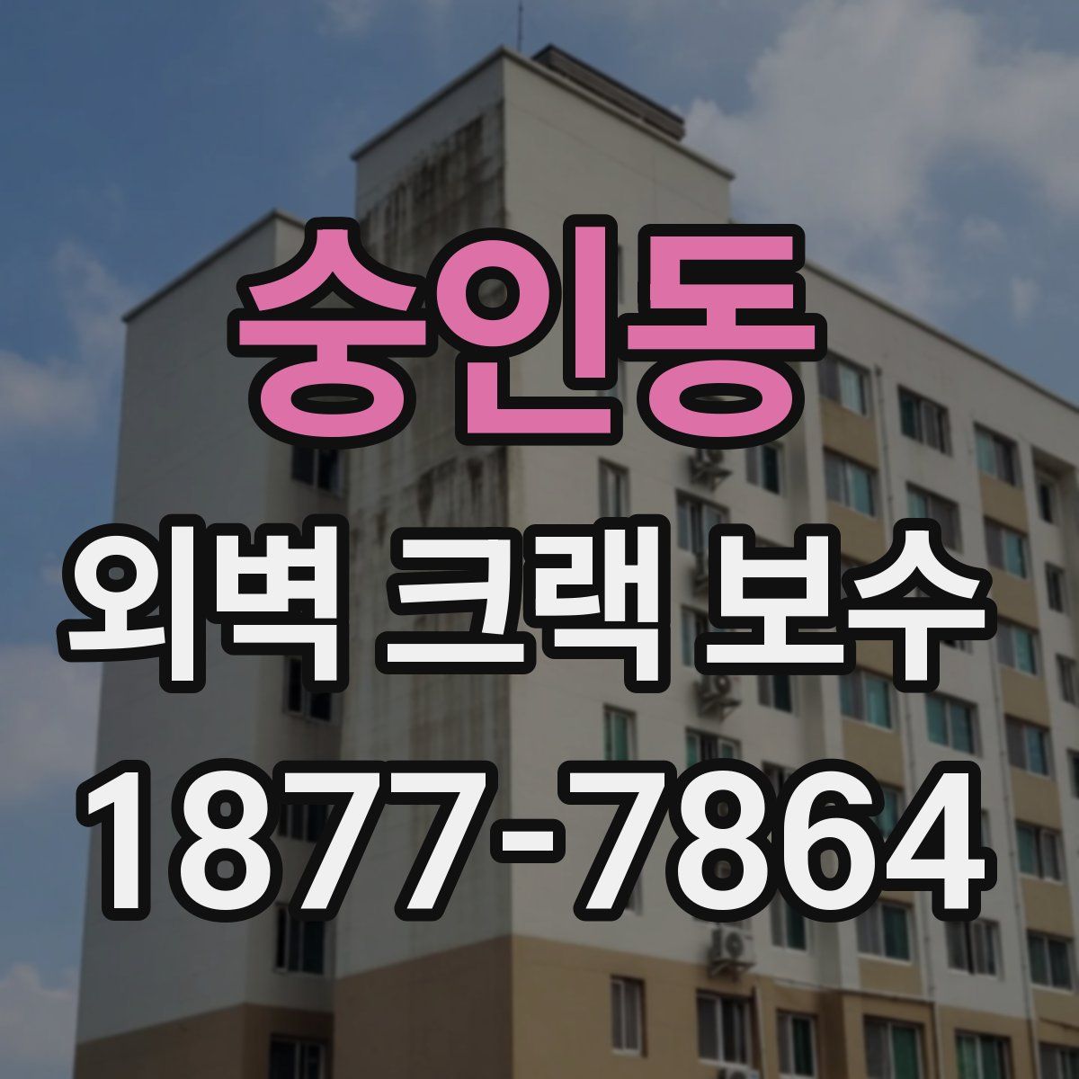 숭인동 외벽 크랙 보수