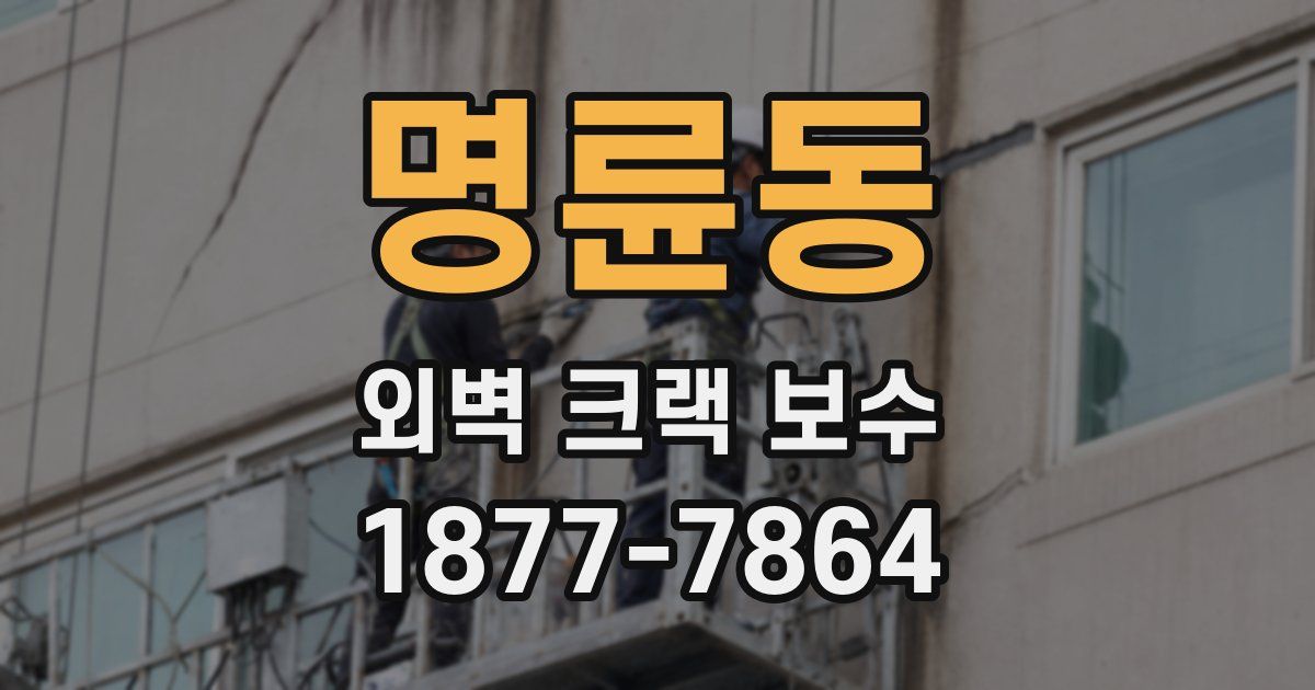 명륜동 외벽 크랙 보수