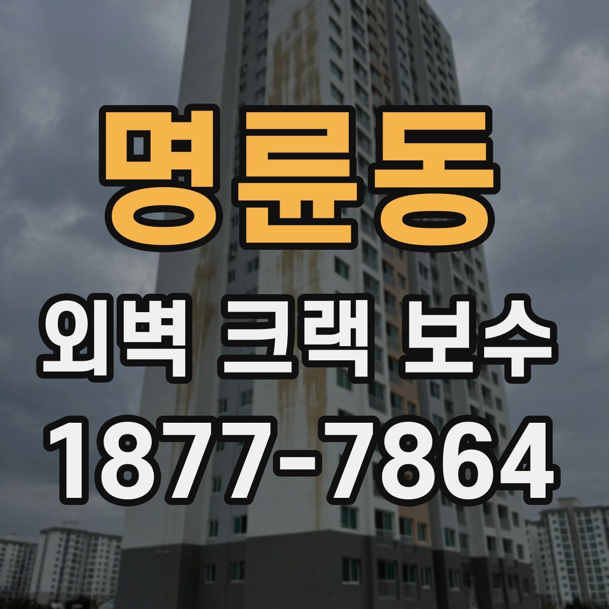 명륜동 외벽 크랙 보수
