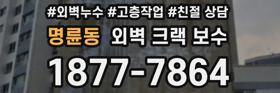 명륜동 외벽 크랙 보수