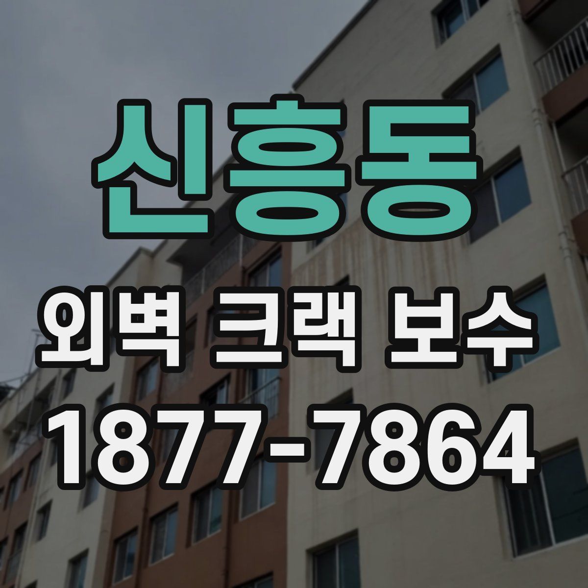 신흥동 외벽 크랙 보수
