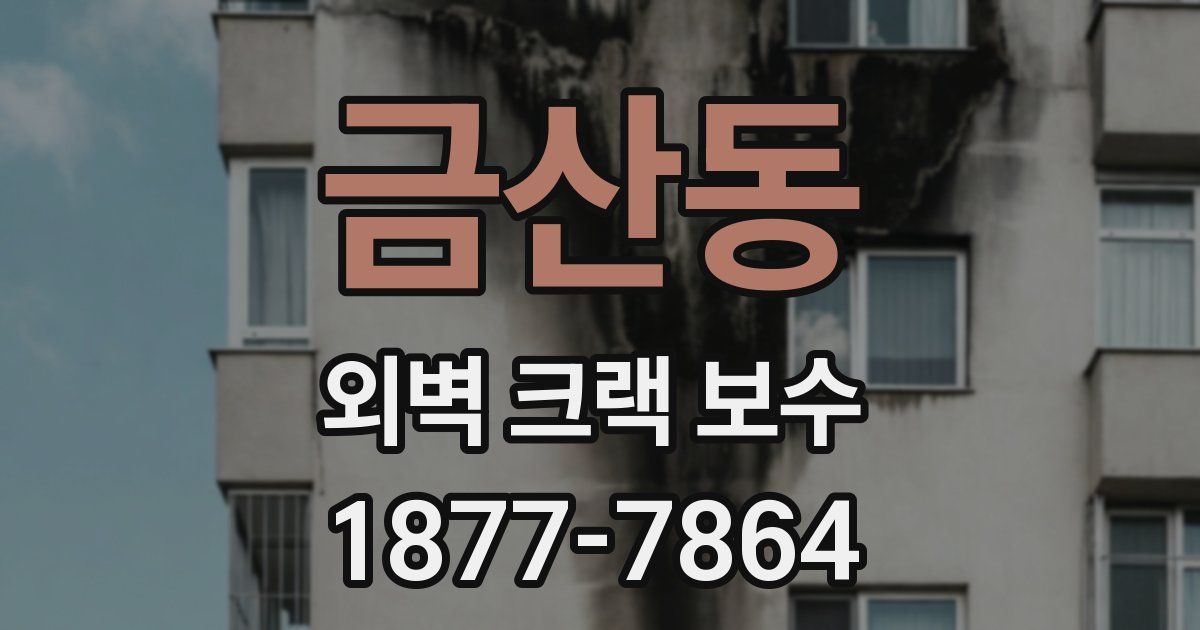 금산동 외벽 크랙 보수