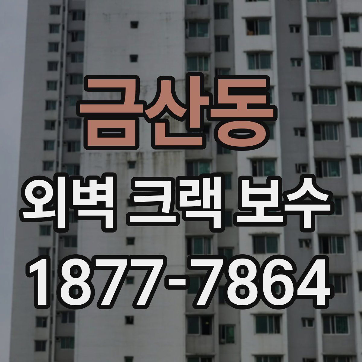 금산동 외벽 크랙 보수