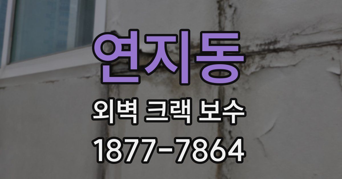 연지동 외벽 크랙 보수