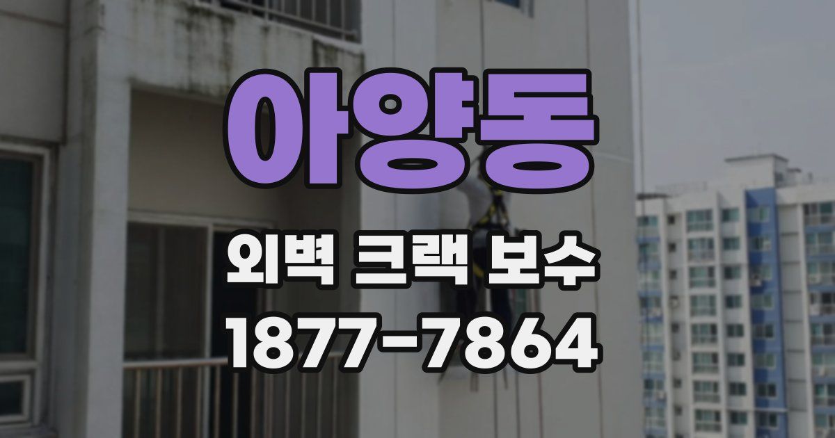 아양동 외벽 크랙 보수