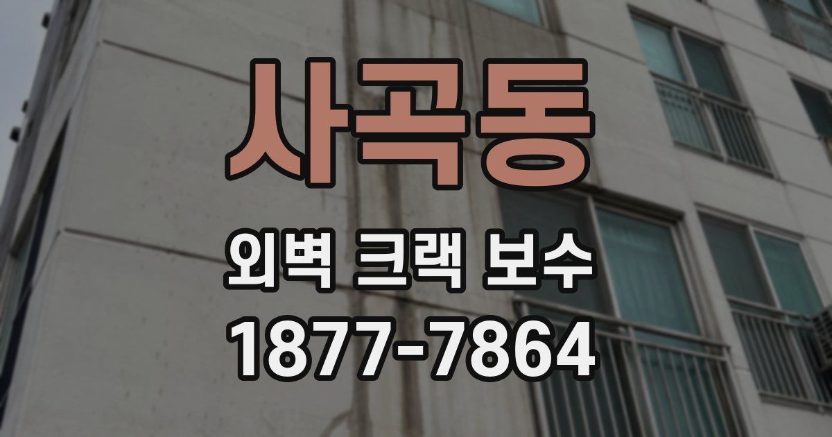 사곡동 외벽 크랙 보수