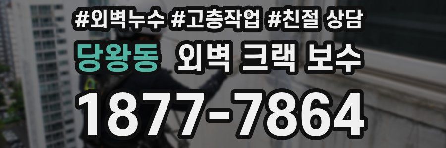 당왕동 외벽 크랙 보수