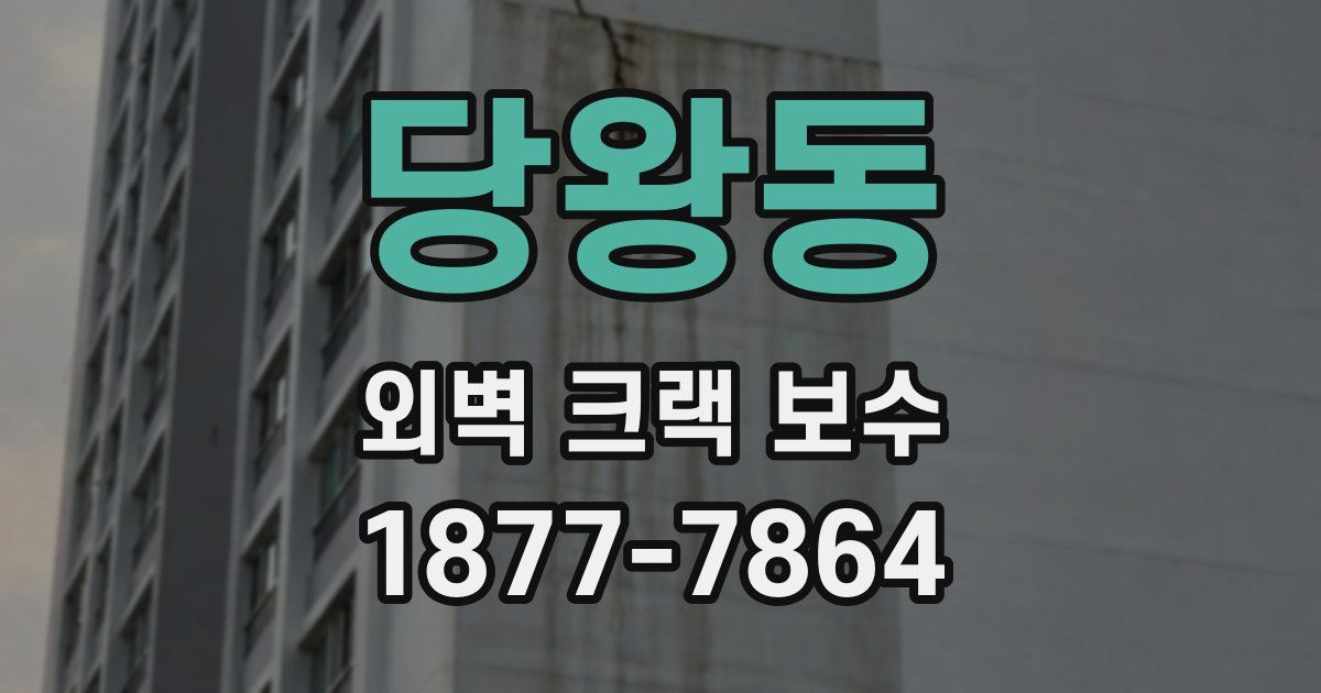 당왕동 외벽 크랙 보수