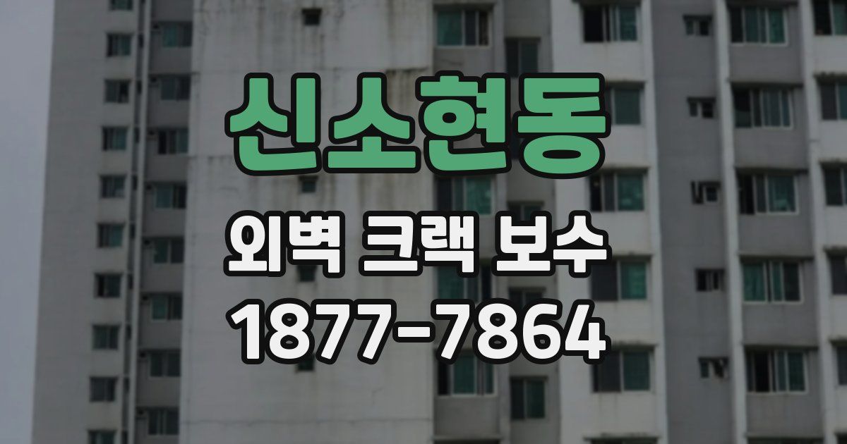 신소현동 외벽 크랙 보수