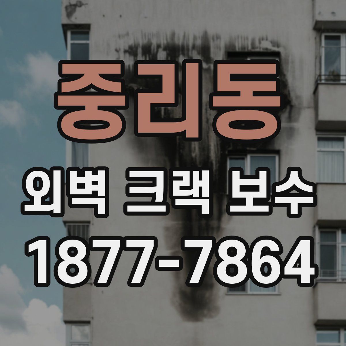 중리동 외벽 크랙 보수