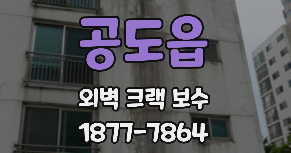 공도읍 외벽 크랙 보수