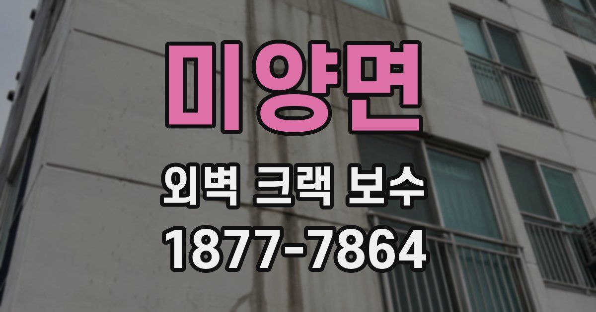 미양면 외벽 크랙 보수
