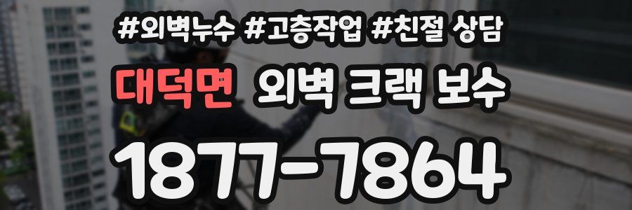 대덕면 외벽 크랙 보수
