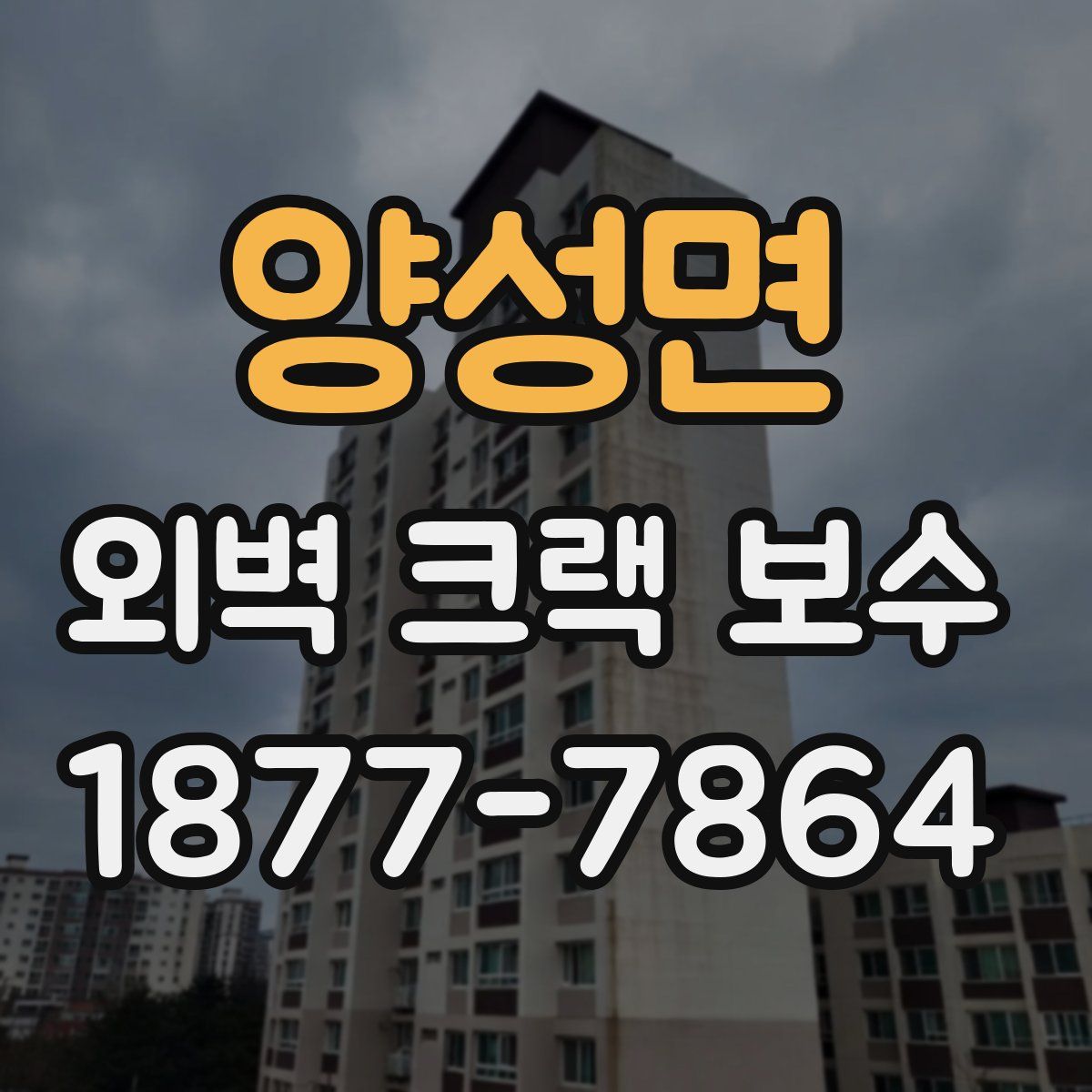 양성면 외벽 크랙 보수