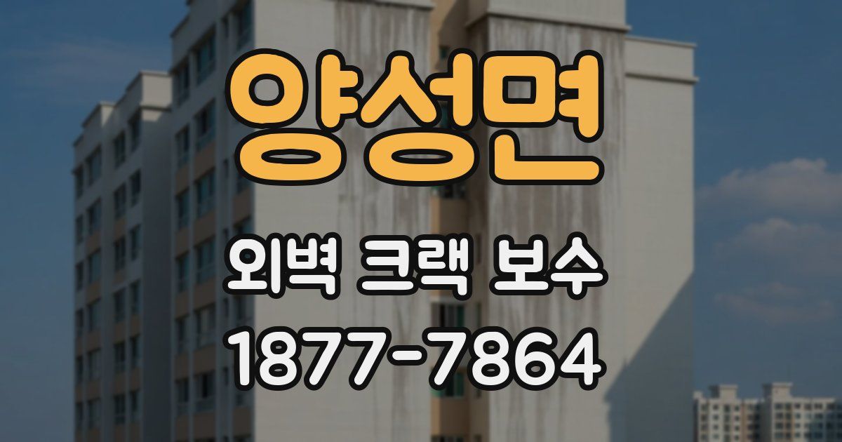 양성면 외벽 크랙 보수