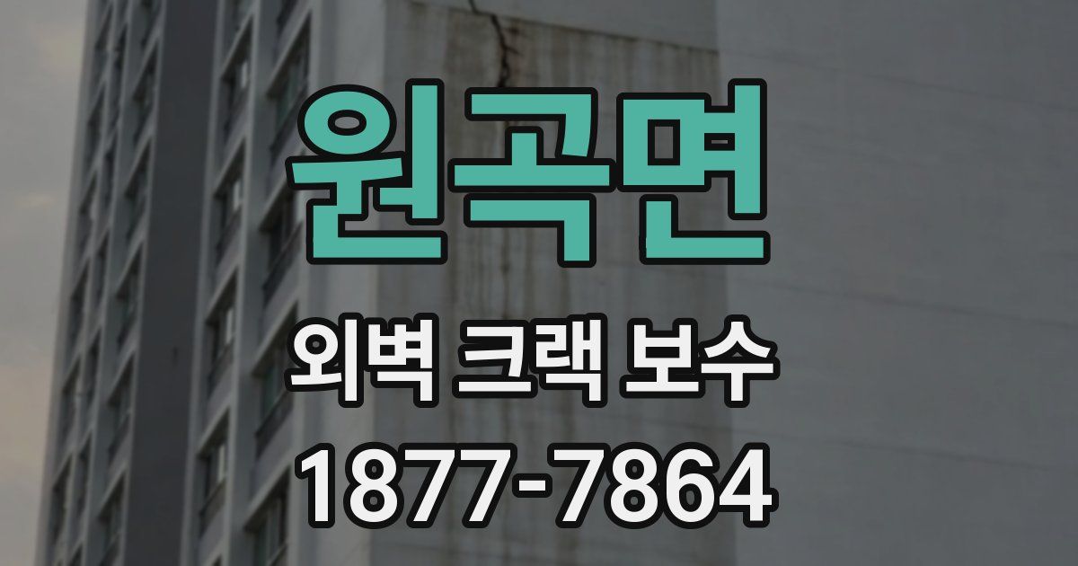 원곡면 외벽 크랙 보수