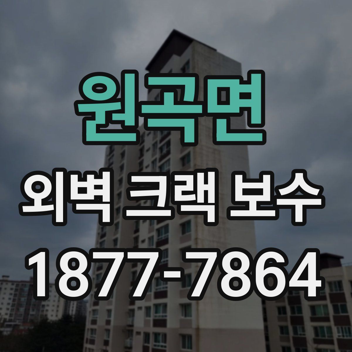 원곡면 외벽 크랙 보수