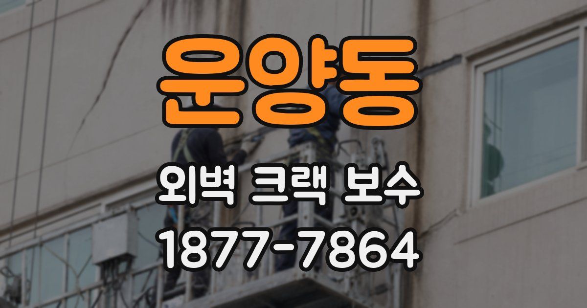 운양동 외벽 크랙 보수