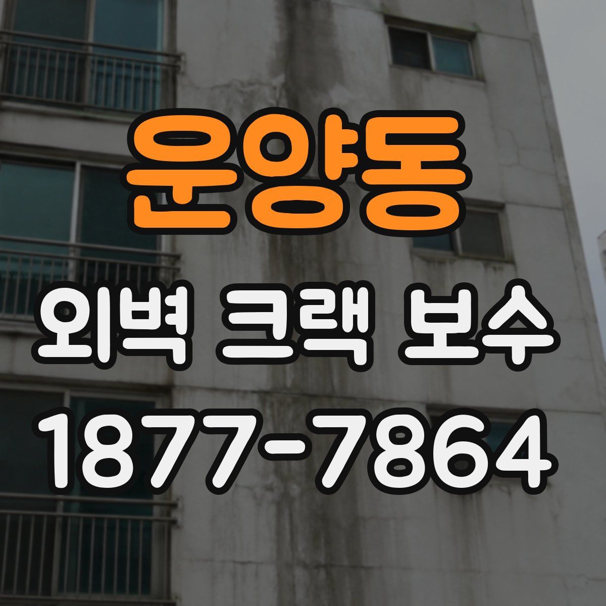 운양동 외벽 크랙 보수
