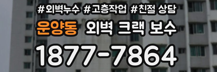운양동 외벽 크랙 보수