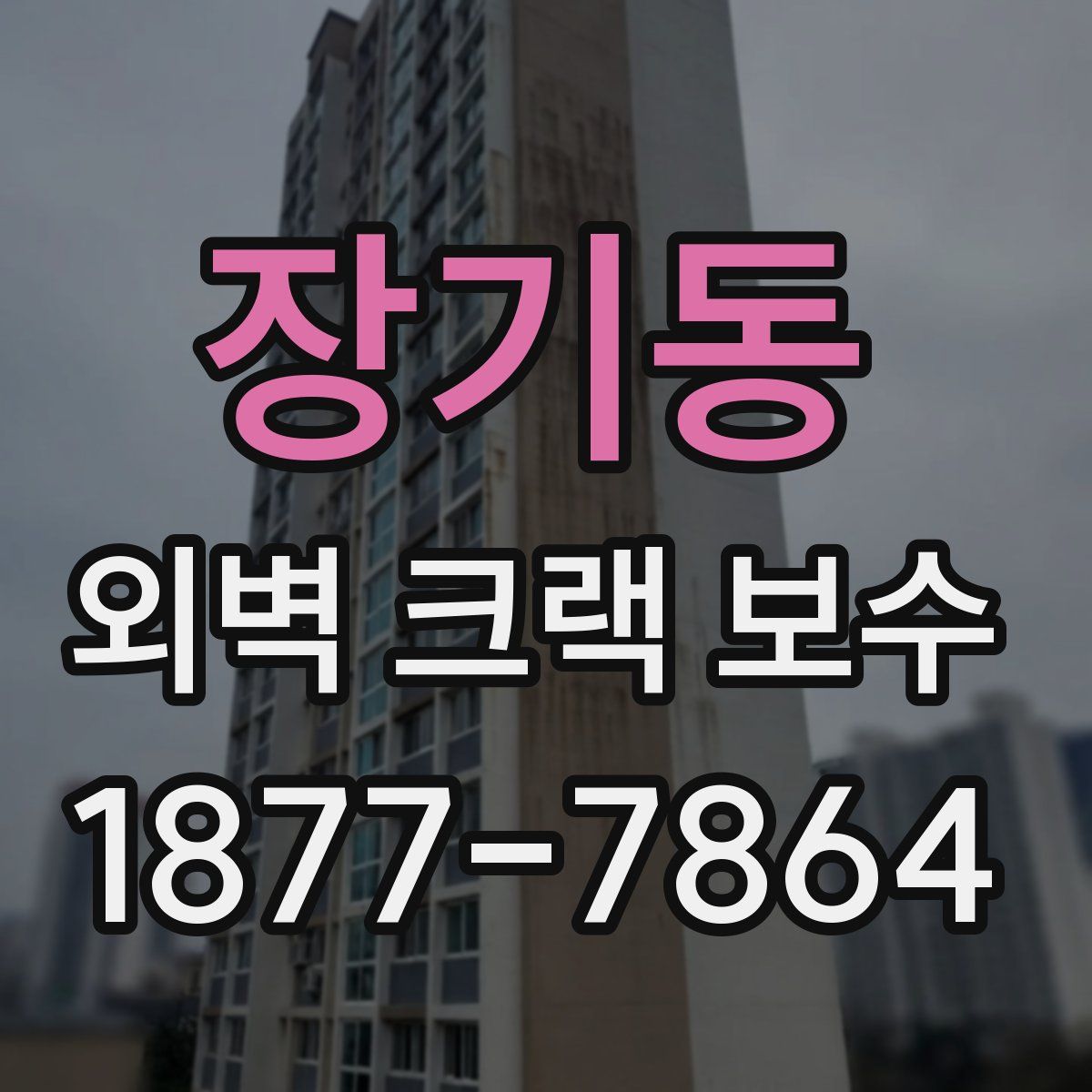 장기동 외벽 크랙 보수