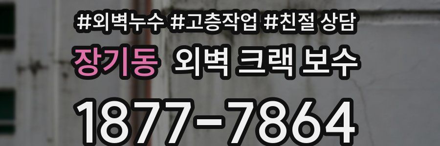 장기동 외벽 크랙 보수
