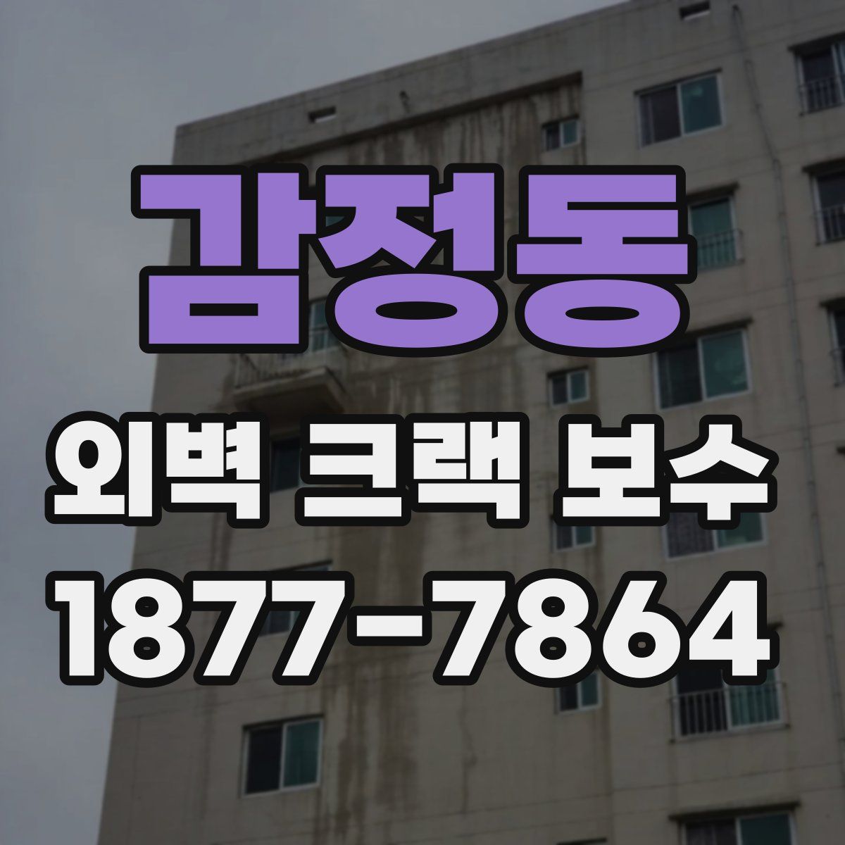 감정동 외벽 크랙 보수