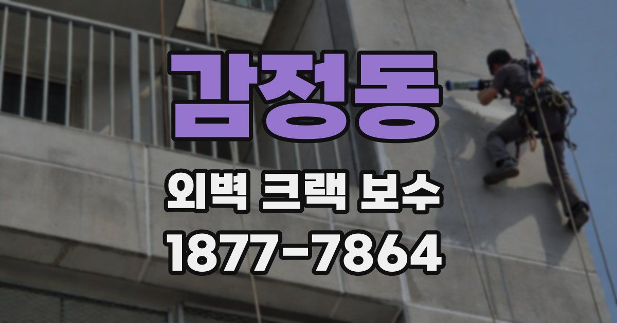 감정동 외벽 크랙 보수