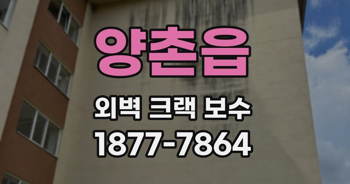 양촌읍 외벽 크랙 보수