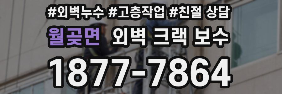 월곶면 외벽 크랙 보수