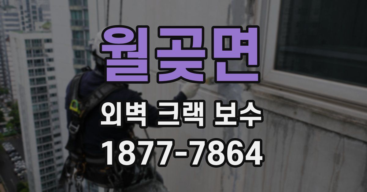 월곶면 외벽 크랙 보수