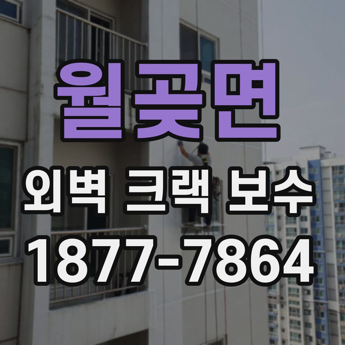 월곶면 외벽 크랙 보수