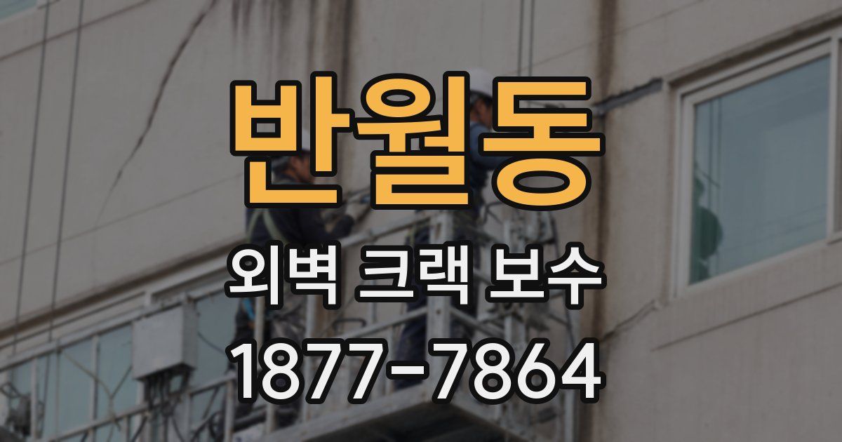 반월동 외벽 크랙 보수