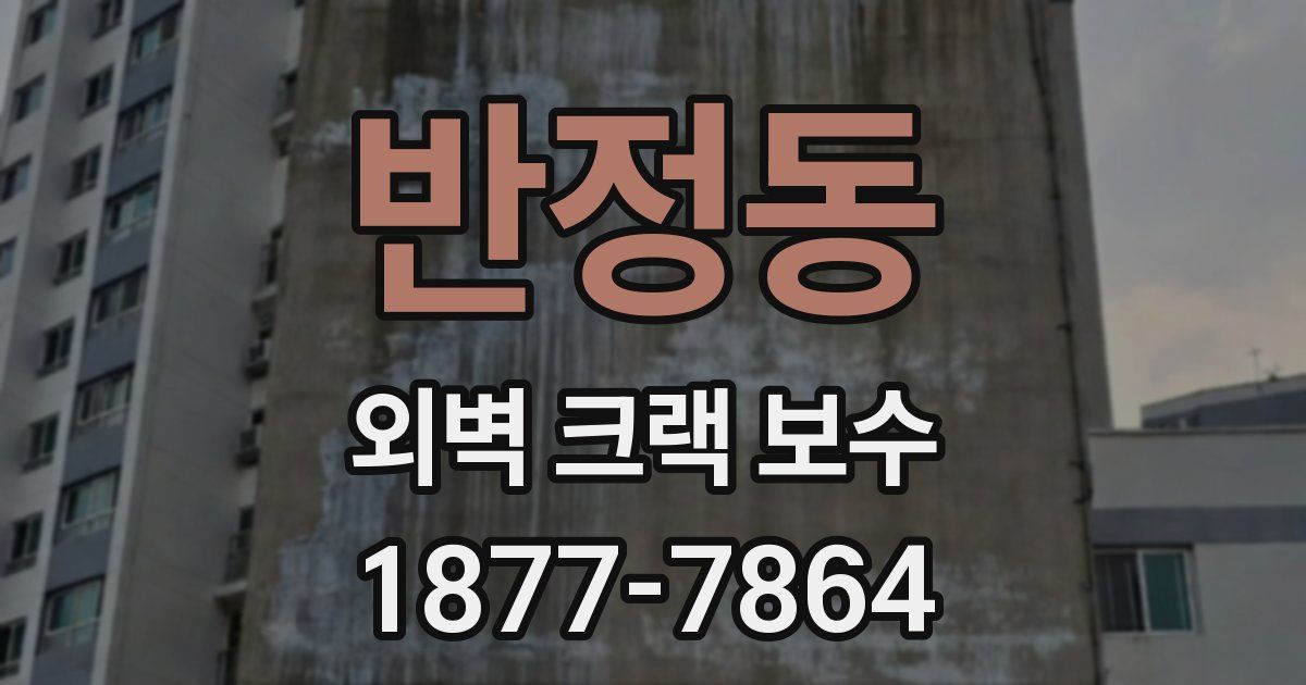 반정동 외벽 크랙 보수