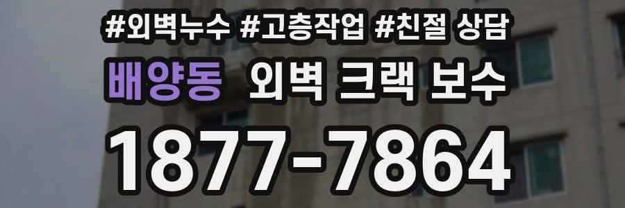 배양동 외벽 크랙 보수