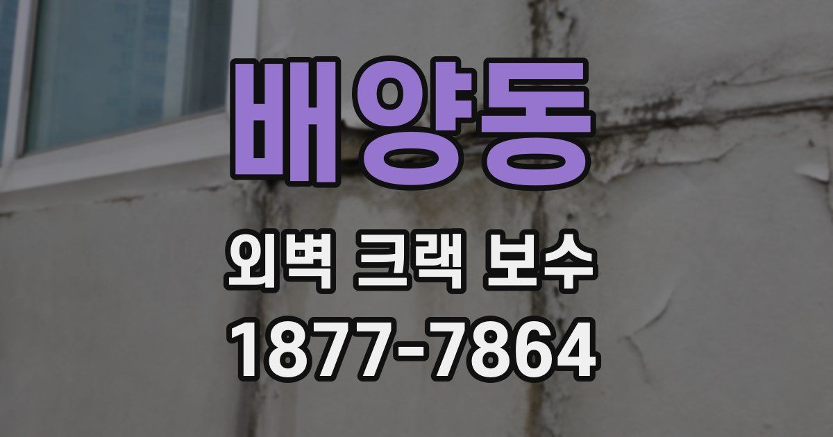 배양동 외벽 크랙 보수