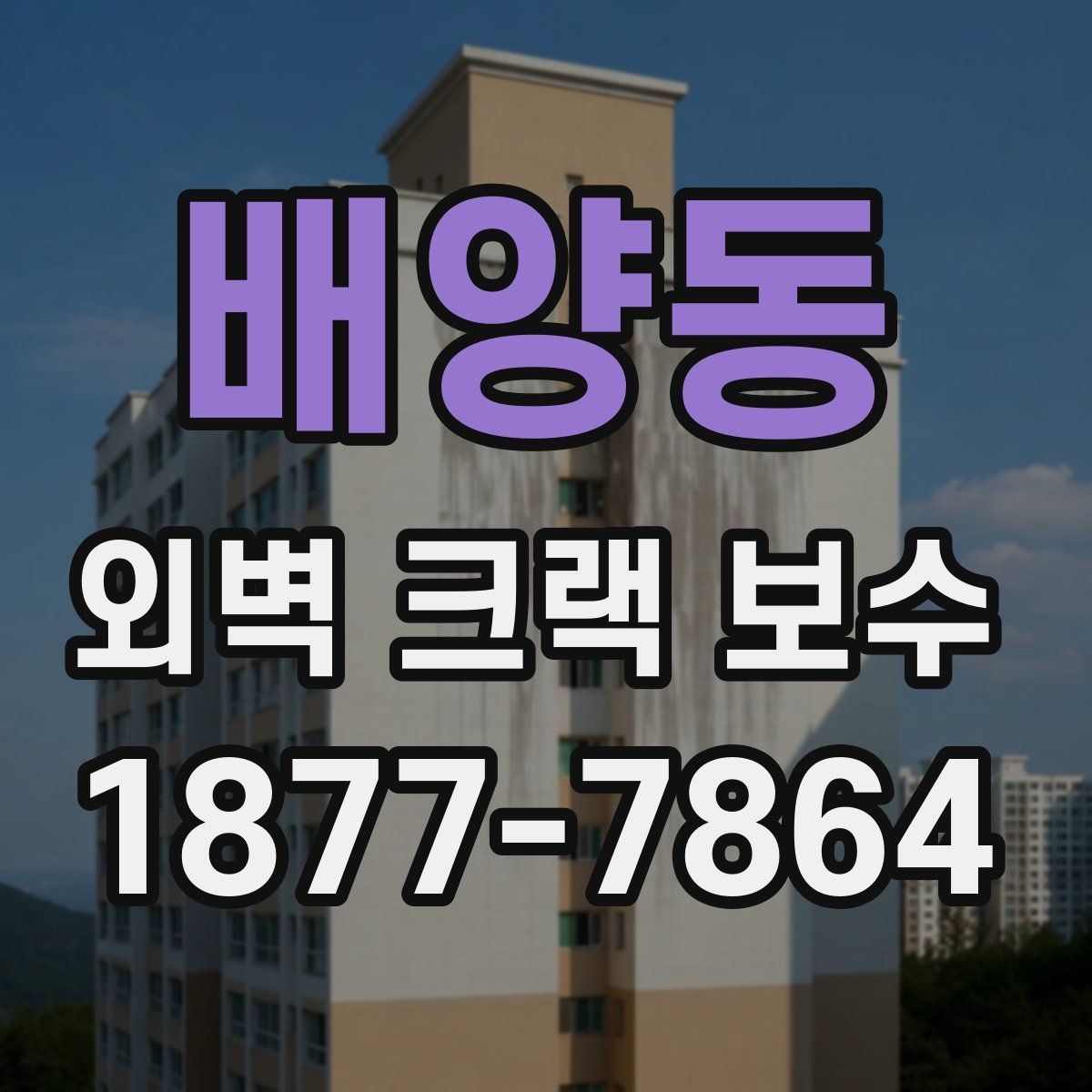 배양동 외벽 크랙 보수