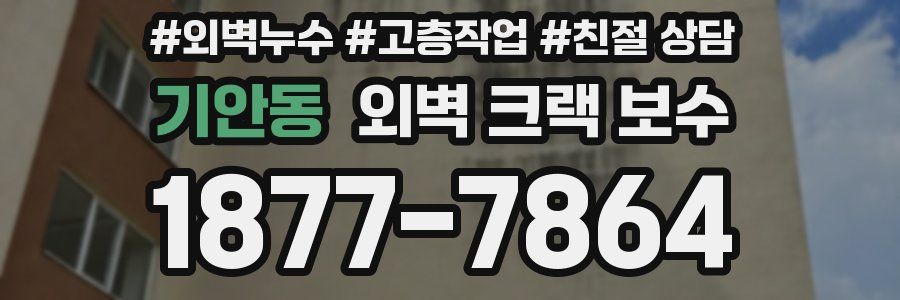 기안동 외벽 크랙 보수