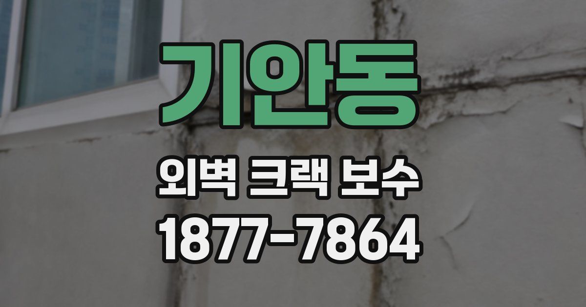 기안동 외벽 크랙 보수