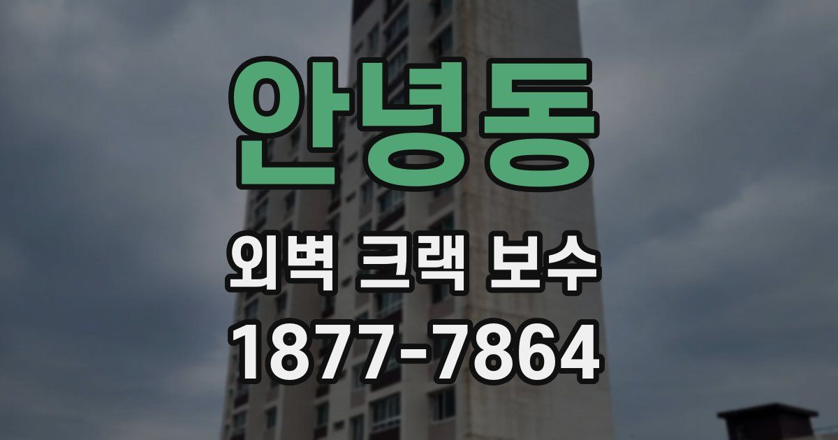 안녕동 외벽 크랙 보수
