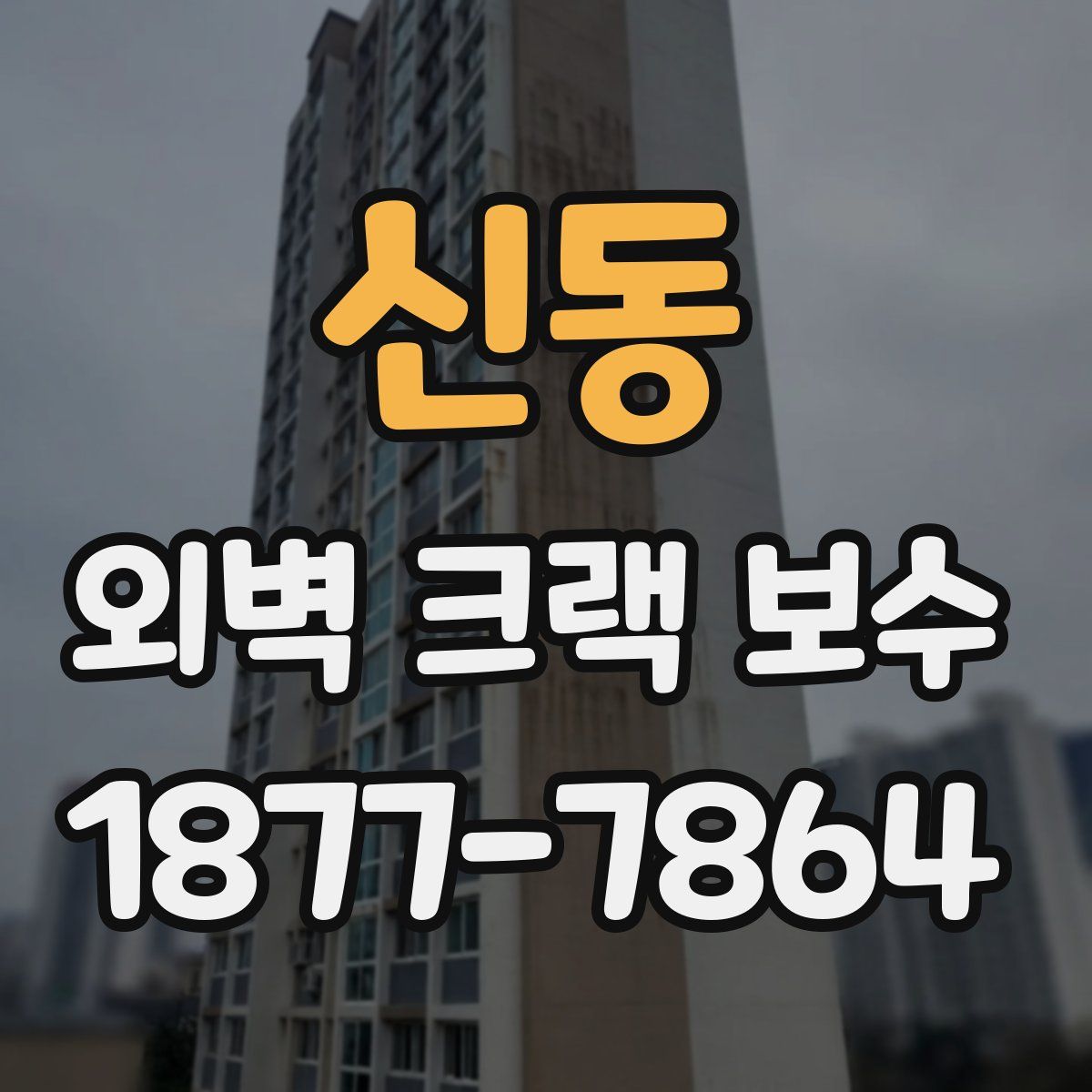신동 외벽 크랙 보수