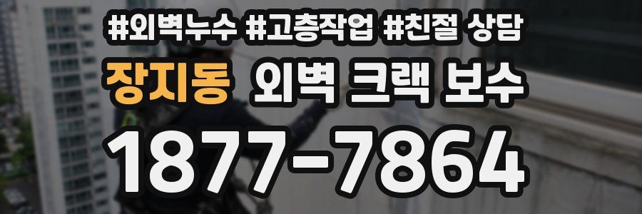 장지동 외벽 크랙 보수