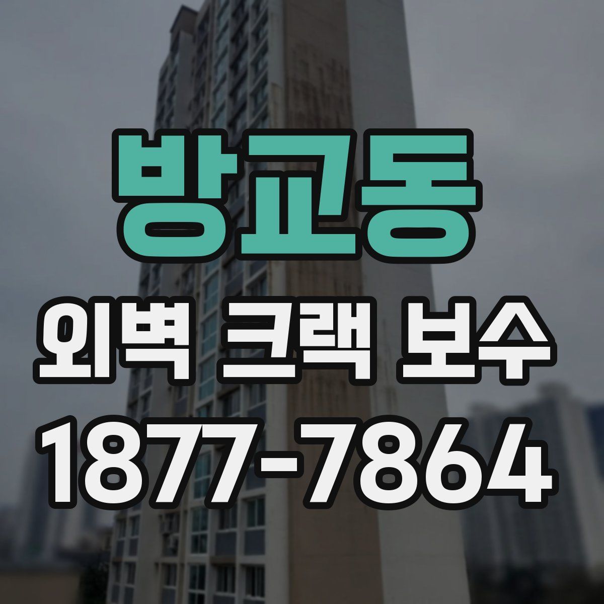 방교동 외벽 크랙 보수