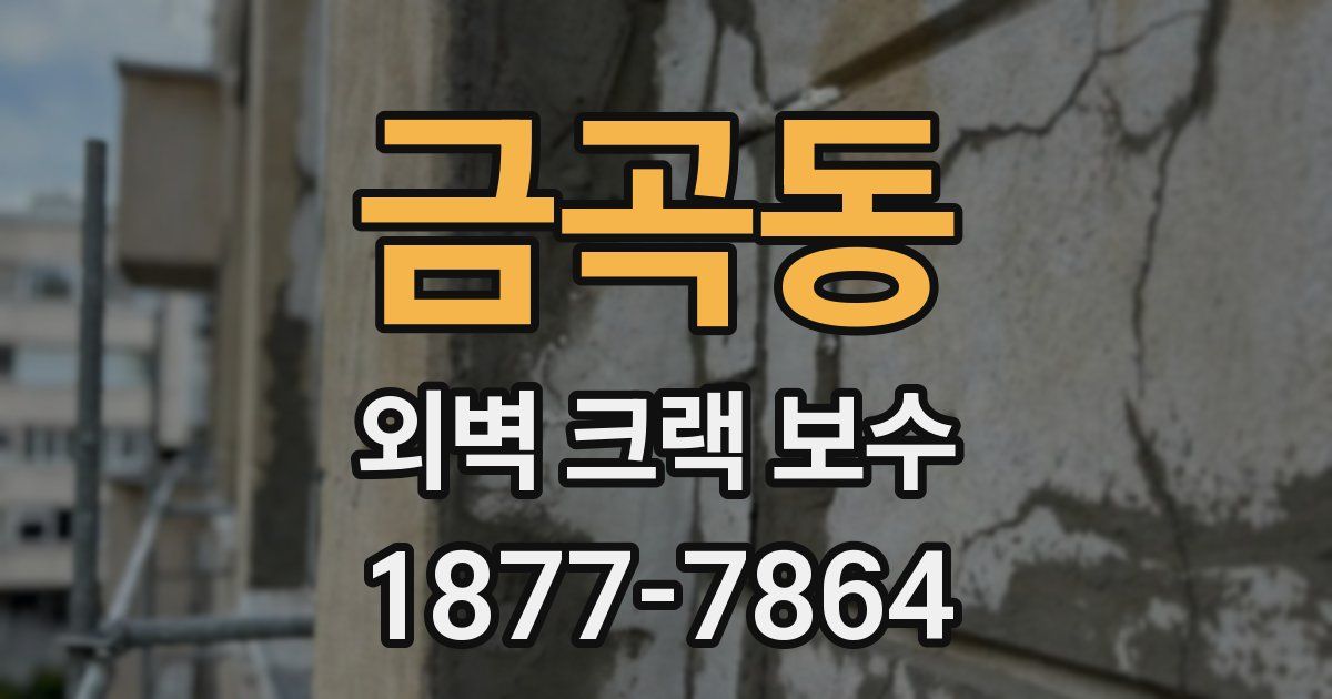금곡동 외벽 크랙 보수