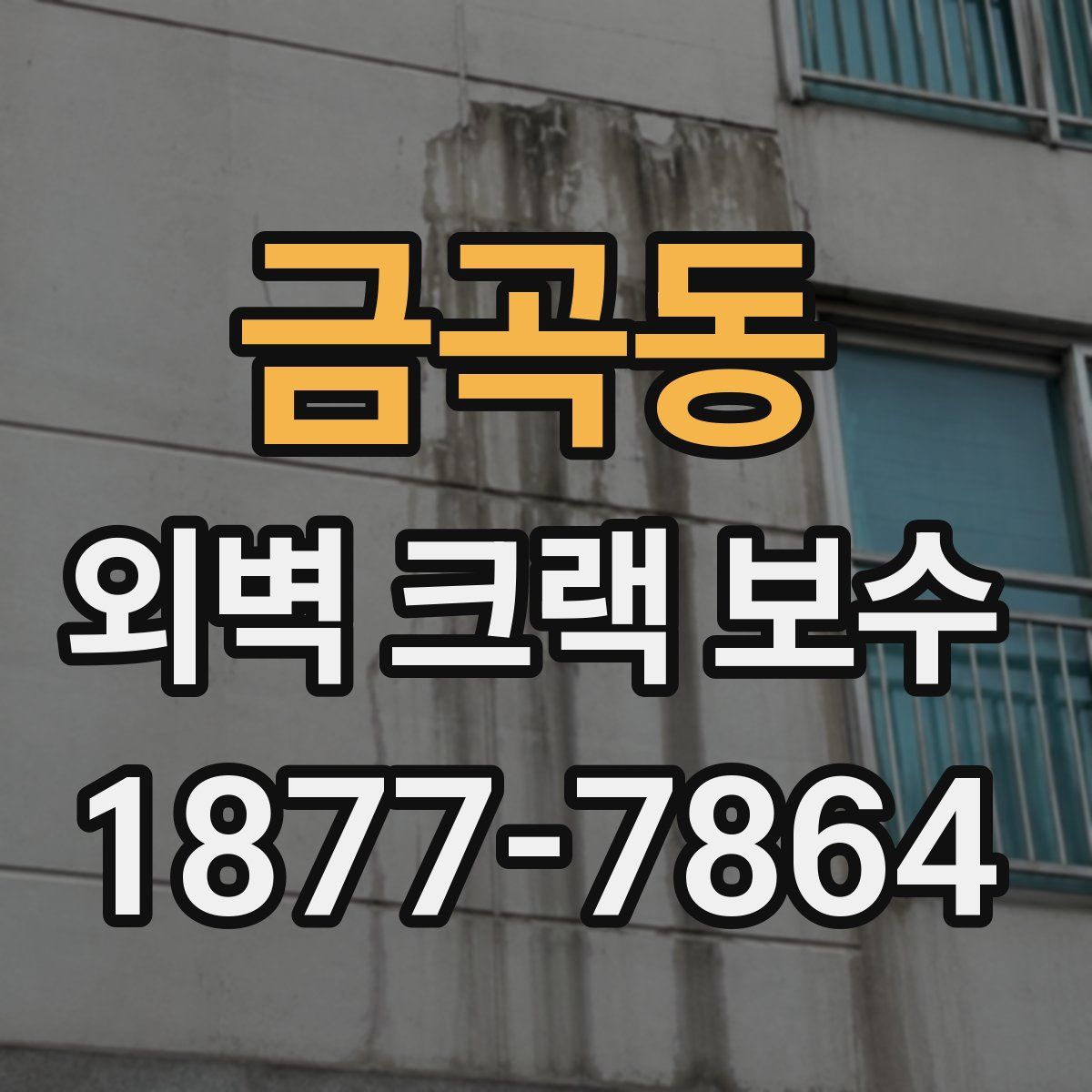 금곡동 외벽 크랙 보수