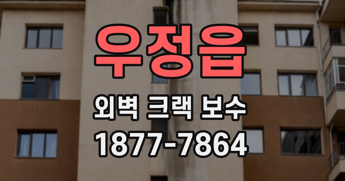우정읍 외벽 크랙 보수