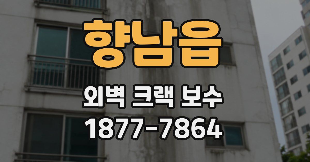 향남읍 외벽 크랙 보수