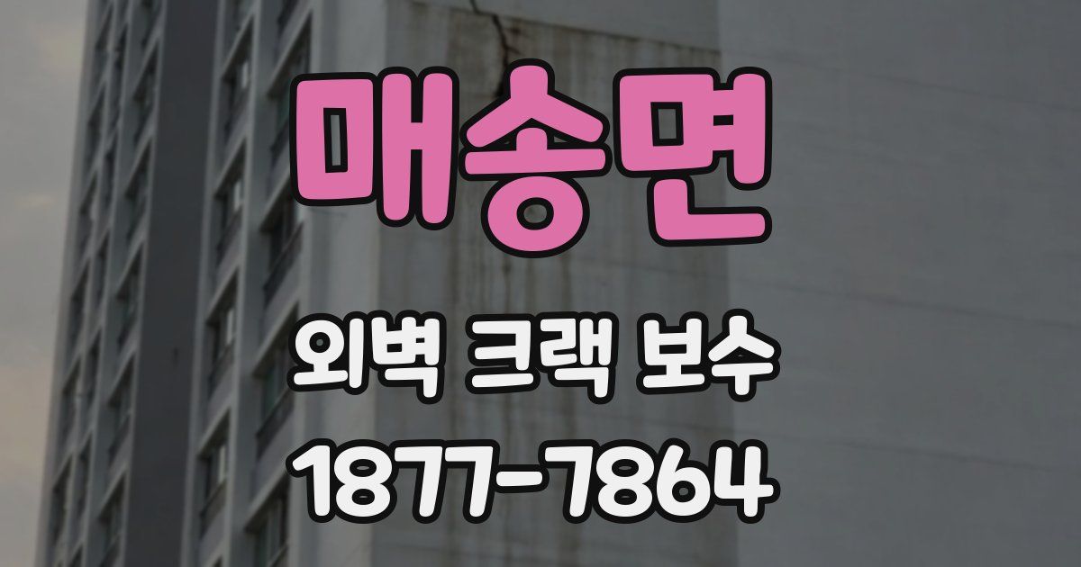 매송면 외벽 크랙 보수