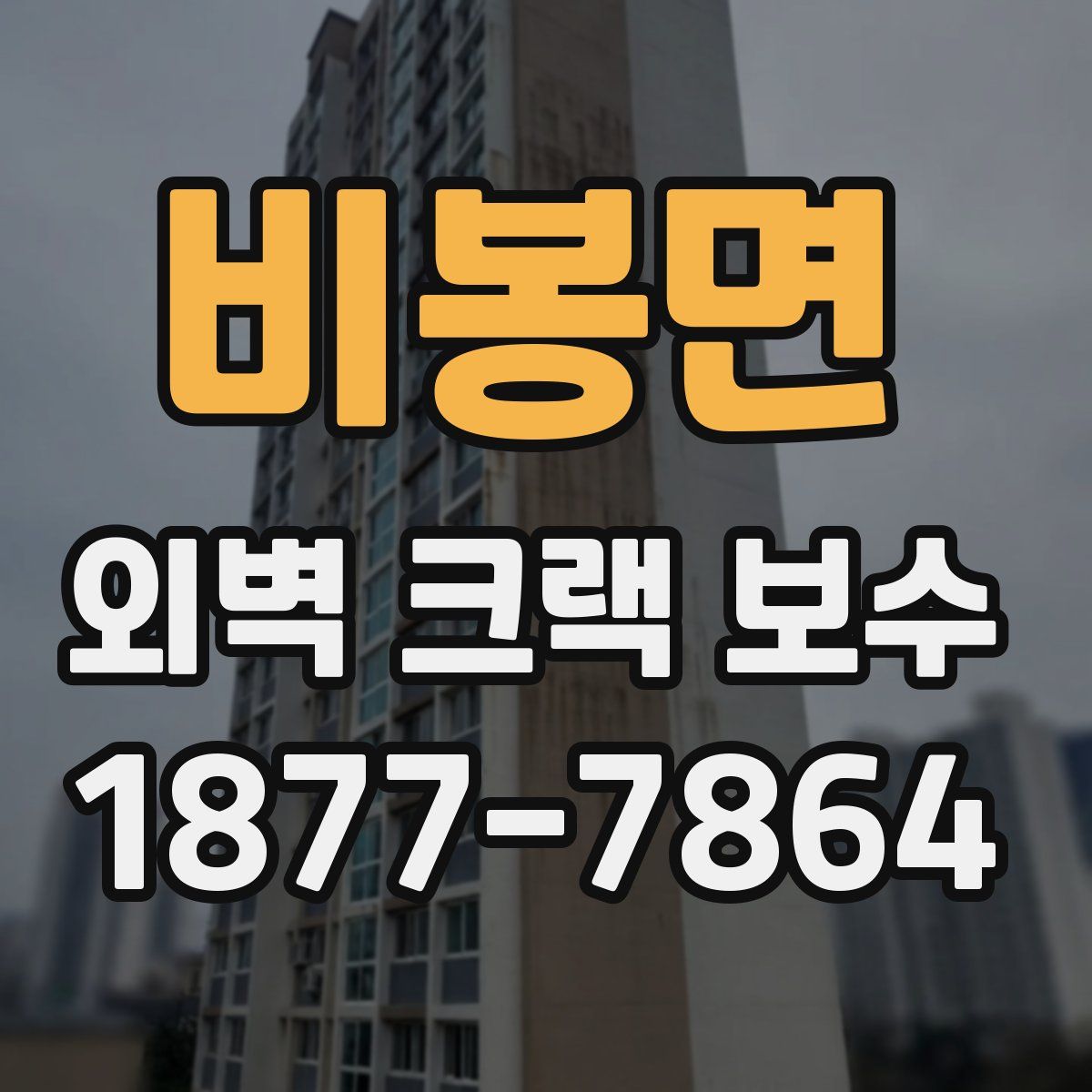 비봉면 외벽 크랙 보수